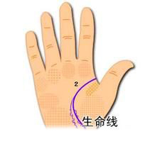 教你如何看生命線長短 教你如何看生命線長短