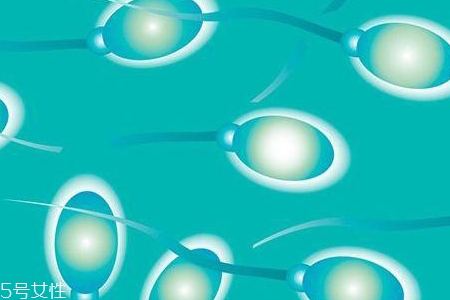 備孕期間男人吃什么對(duì)精子好 備孕期間男人吃什么對(duì)精子好