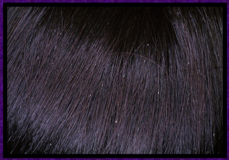 1448607512811101.jpg snap0338.jpg