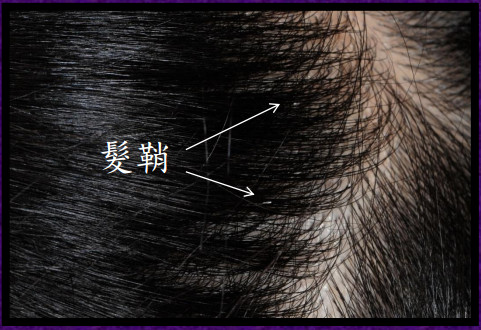 1448607918961920.jpg snap0343.jpg