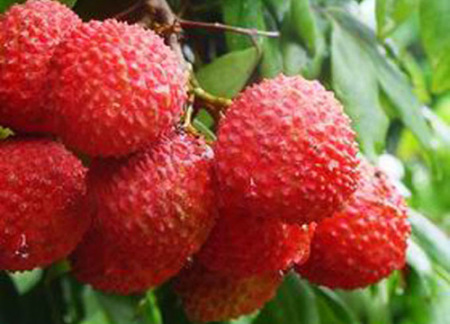 1448857122419199.jpg 3.jpg