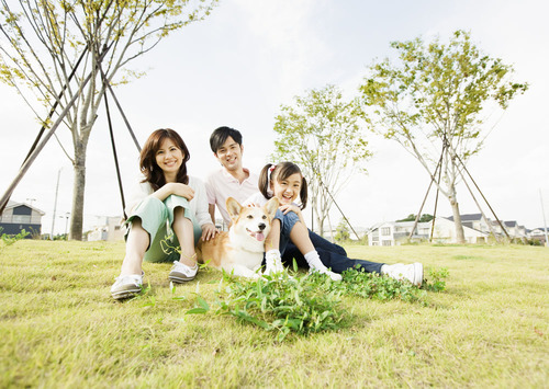 1448865770335877.jpg 74-110P312150426.jpg