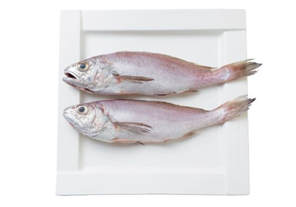 怎么吃海鮮才鮮 教你正確選購(gòu)海鮮 怎么吃海鮮才鮮 教你正確選購(gòu)海鮮