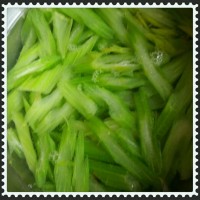 1449125446645962.jpg 4.jpg