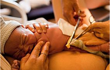 1449126530876333.png Image 001.png