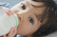 1449134786737458.png Image 001.png