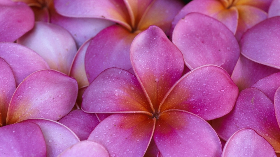 1449192079999757.jpg 97.jpg