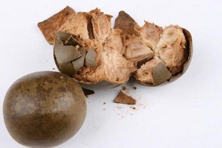 羅漢果的功效作用及其食用方法 羅漢果的功效作用及其食用方法