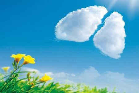 1449457375764885.jpg 1421812128123083.jpg