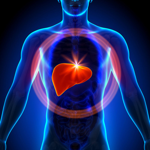 1449475669310887.jpg 235094-14110FR24450 (1).jpg