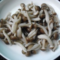 1449542396395653.jpg 8.jpg