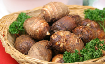 1449557869973351.png snap000007.png