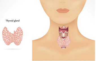 1449633198266958.png snap000029.png