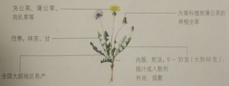 1449739756798050.jpg 74977519204710585.jpg