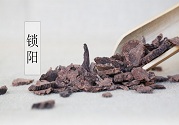 大雪節(jié)氣中藥鎖陽能補(bǔ)陽益陰