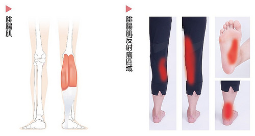 1450081805527229.jpg 23620662936_b015cac368.jpg