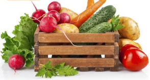 1450150639439254.png snap012.png