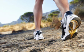 1450177217377681.png snap023.png