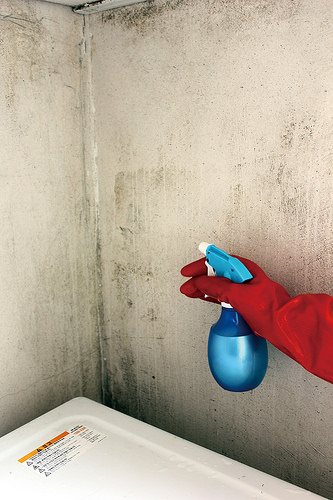 墻壁上的霉斑怎么去除 墻壁上的霉斑怎么去除