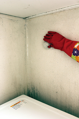 墻壁上的霉斑怎么去除 墻壁上的霉斑怎么去除