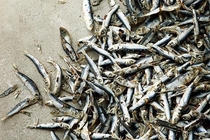 ?蚵仔湯抗痘、泡菜拌飯助睡眠 10款排毒抗發(fā)炎菜單