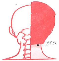 1451265197235445.jpg 151228091133.jpg