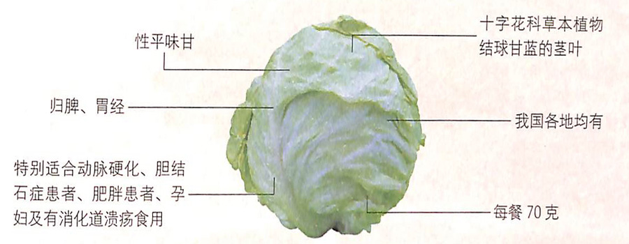 卷心菜的功效作用能抗炎殺菌 卷心菜的功效作用能抗炎殺菌