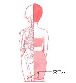 1451385148260536.jpg 5.jpg