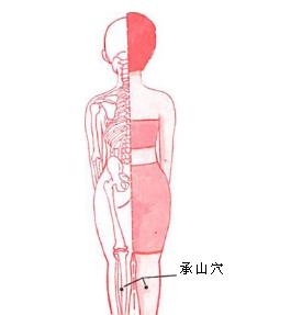 1451385154582581.jpg 6.jpg