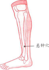 1451385160192169.png 7.png