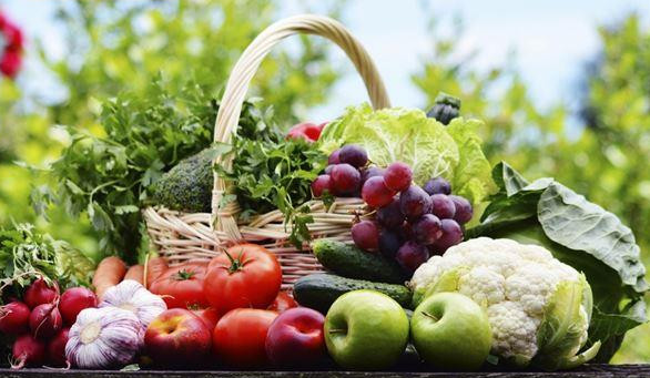 1451446990719611.jpg snap014.jpg