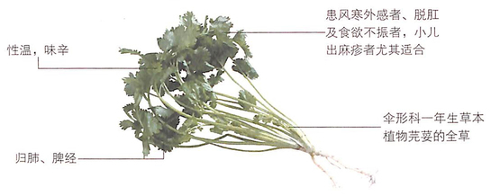 1451465542565377.jpg 1.jpg