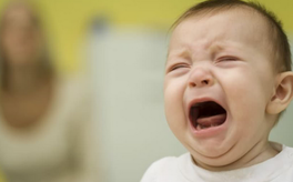 1451545633700711.png Image 001.png