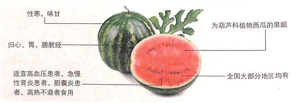 1451867874194115.jpg 1.jpg