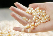 1451954945129742.png Image 001.png