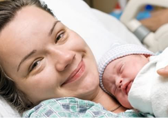 1451958488378677.png Image 001.png