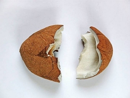 1452068998193478.jpg pix-we062909.jpg