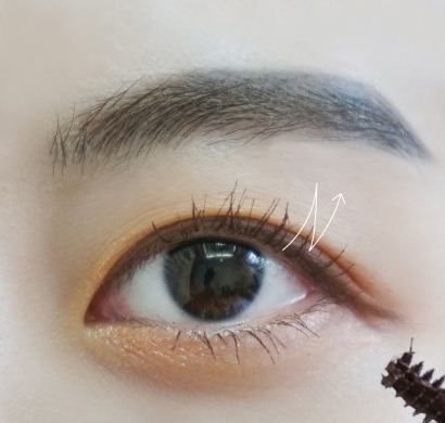 1452069224205761.jpg 5.jpg