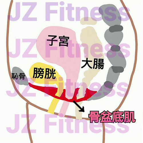月經(jīng)來了可以運(yùn)動么 生理期推薦的運(yùn)動 月經(jīng)來了可以運(yùn)動么 生理期推薦的運(yùn)動