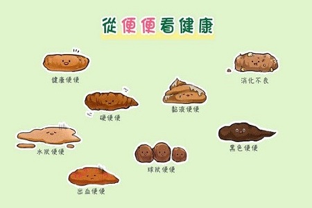 便便健康 便便健康