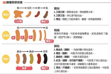 便便分析 便便分析