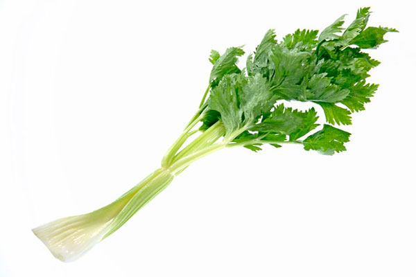 男人多吃芹菜真的殺精子嗎 男人多吃芹菜真的殺精子嗎