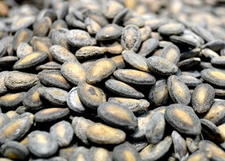 孕婦吃西瓜子對胎兒好嗎.png 孕婦吃西瓜子對胎兒好嗎.png