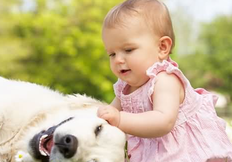 兒童心臟病早期癥狀怎么免費治療.png 兒童心臟病早期癥狀怎么免費治療.png