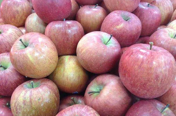 吃香蕉對記憶有好處嗎 必吃補腦3水果 吃香蕉對記憶有好處嗎 必吃補腦3水果