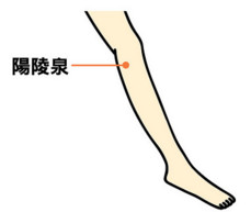 1453182750936095.jpg snap010.jpg