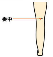 1453182813988099.jpg snap007.jpg