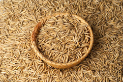 最養(yǎng)五臟的食物 最養(yǎng)五臟的食物