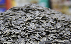 南瓜子炒熟了還有營養(yǎng)價值嗎 南瓜子熟吃殺死寄生蟲嗎