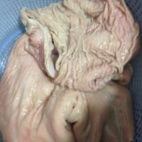 墨魚(yú)豬肚湯的功效作用?怎么制作? 墨魚(yú)豬肚湯的功效作用?怎么制作?